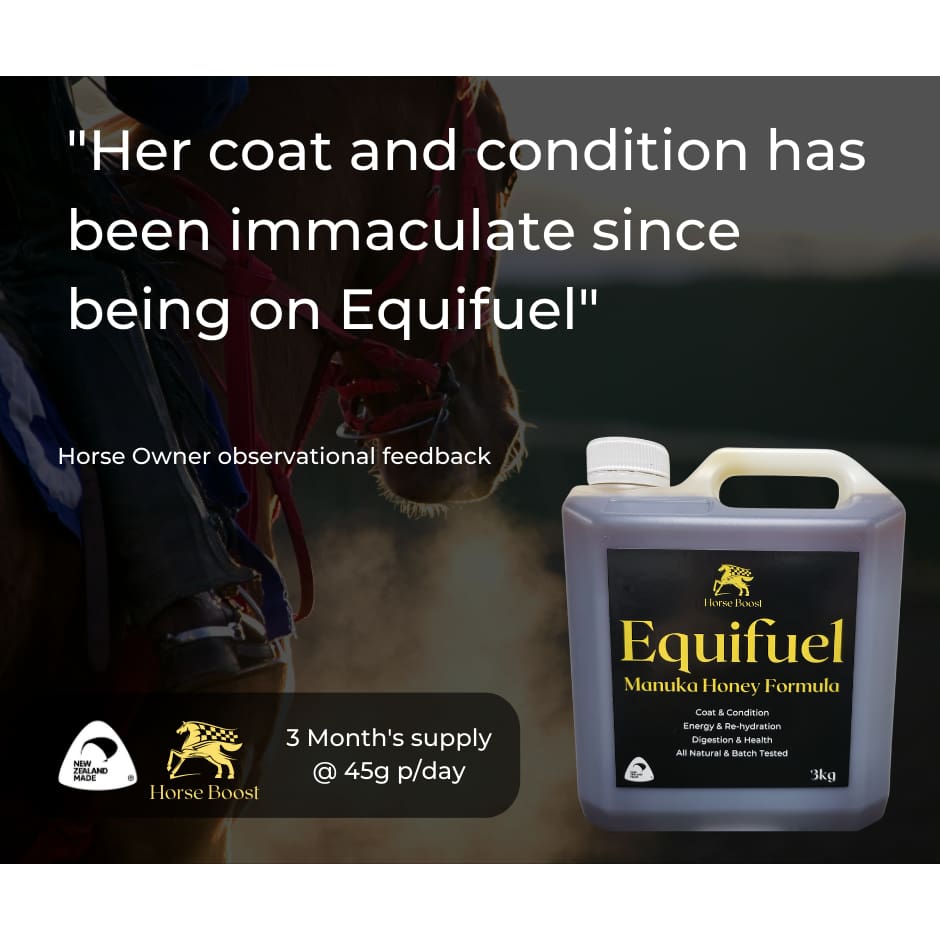 Equifuel 3kg Health & Performance