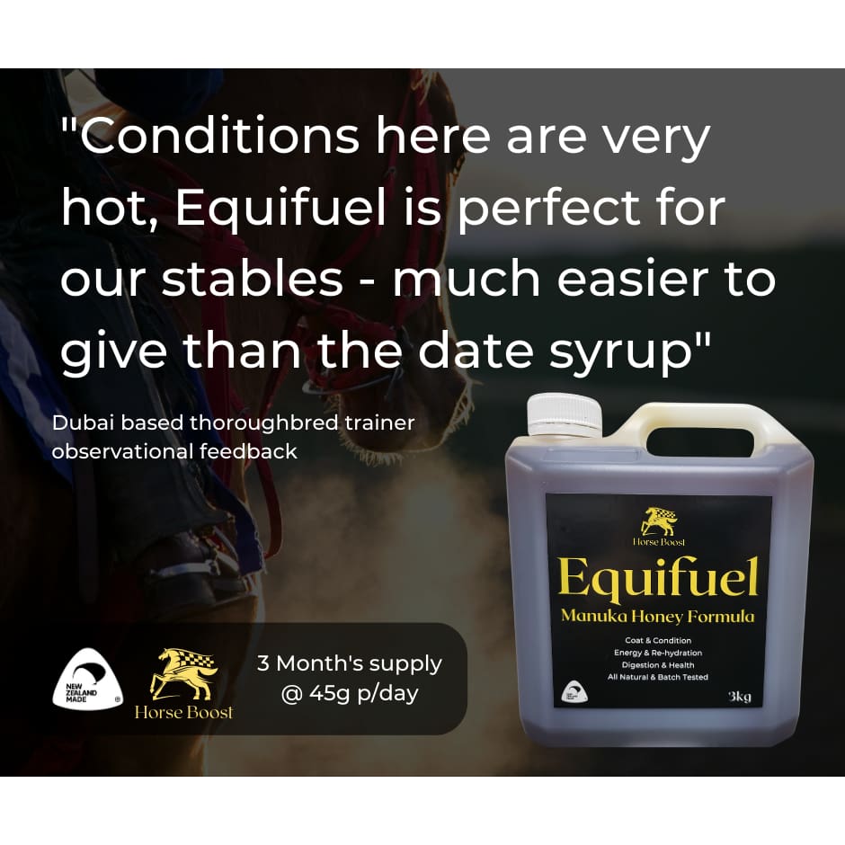 Equifuel 3kg Health & Performance