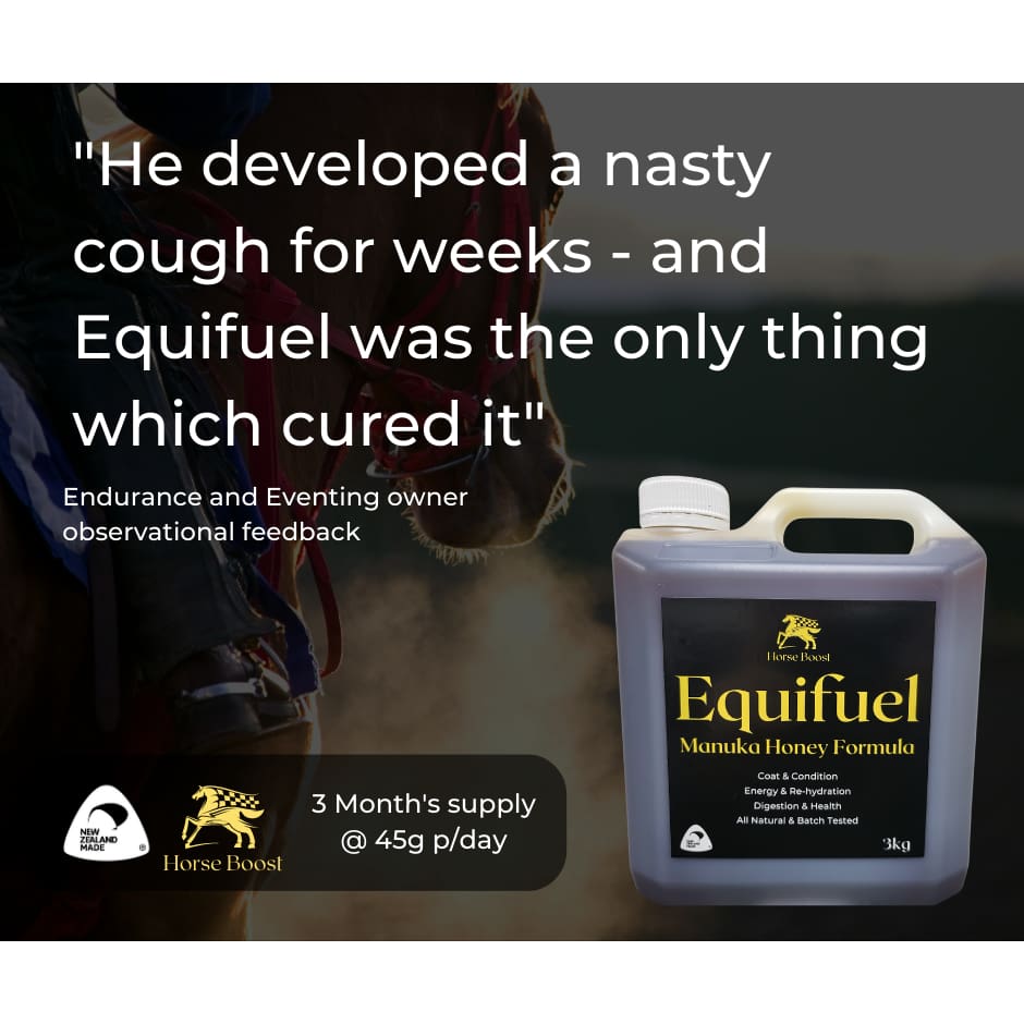 Equifuel 3kg Health & Performance