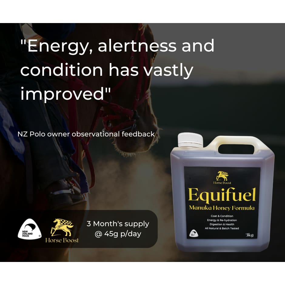 Equifuel 3kg Health & Performance