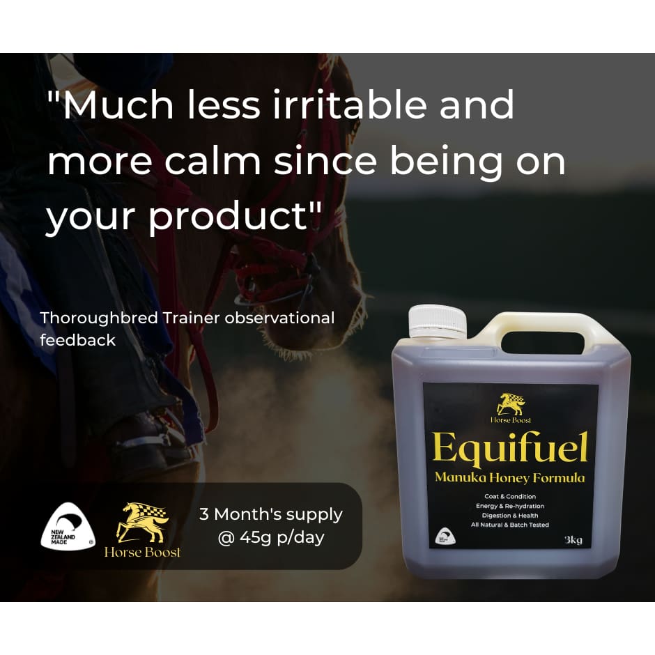 Equifuel 3kg Health & Performance