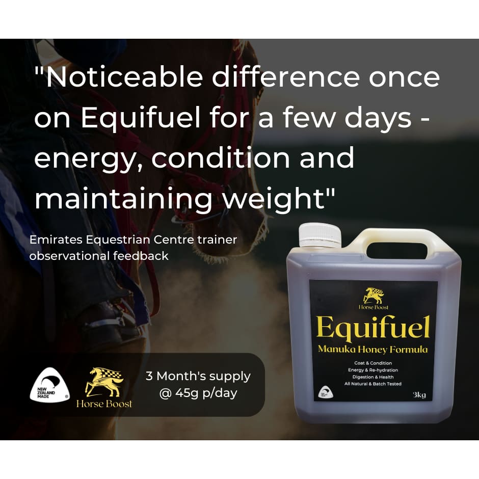 Equifuel 3kg Health & Performance