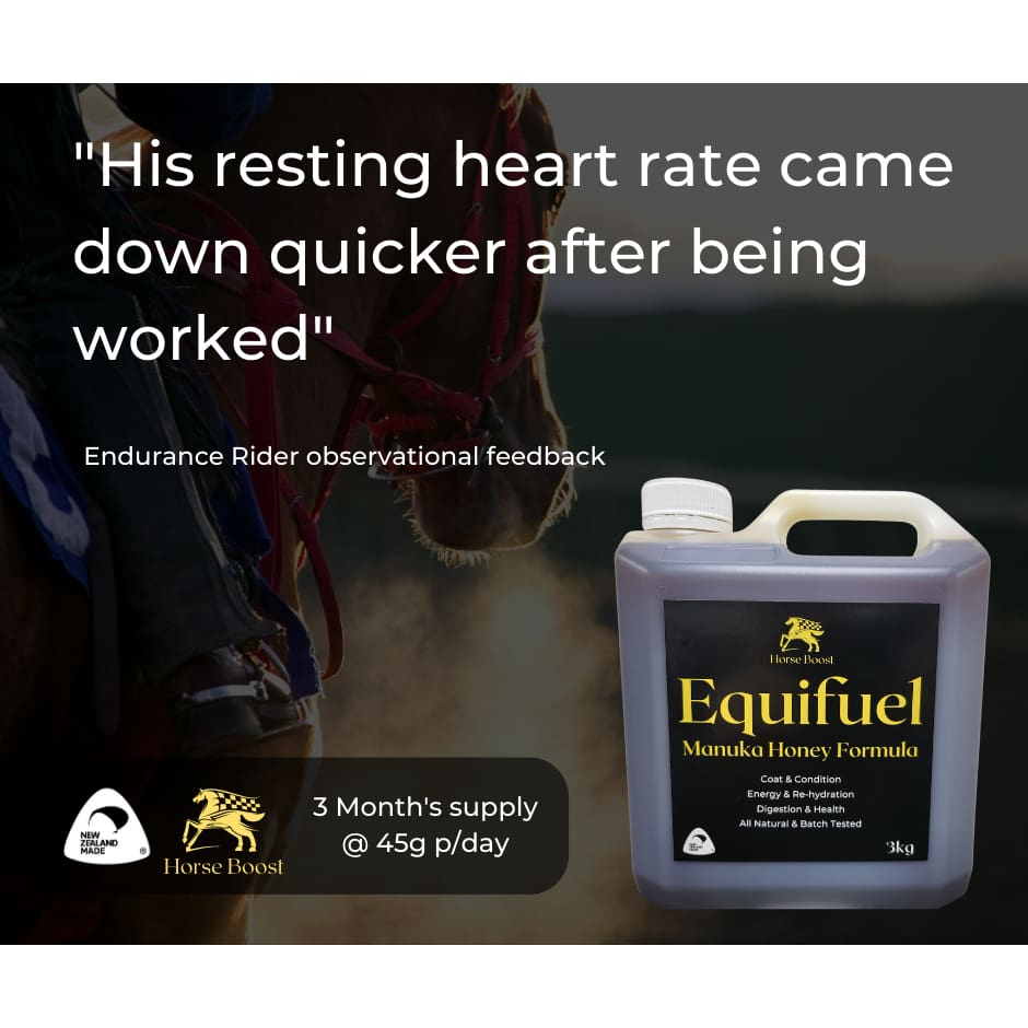 Equifuel 3kg Health & Performance