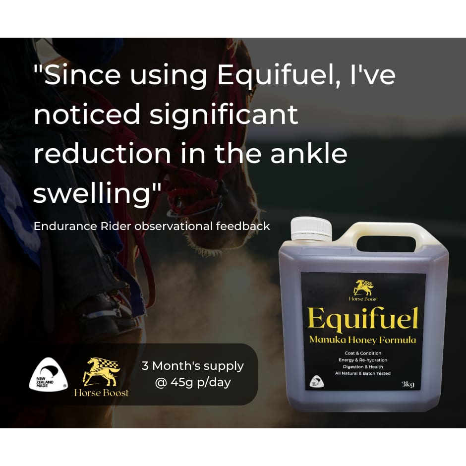 Equifuel 3kg Health & Performance