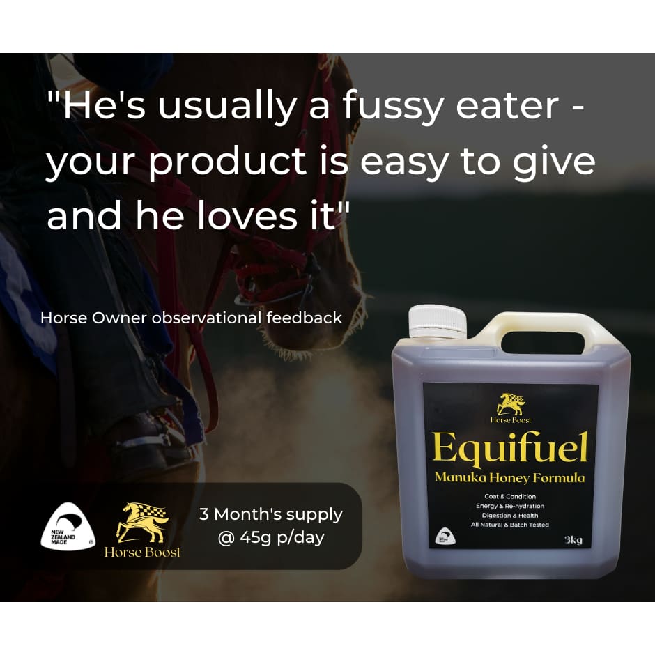 Equifuel 3kg Health & Performance