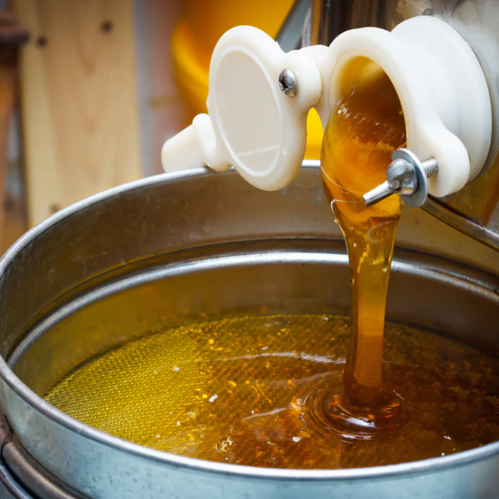 B2B Ingredients