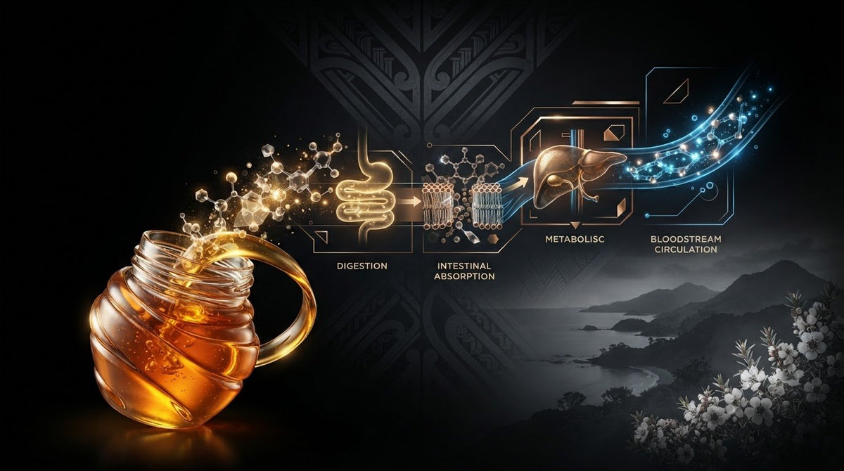 Bioavailable Honey Polyphenols: What the Evidence Shows