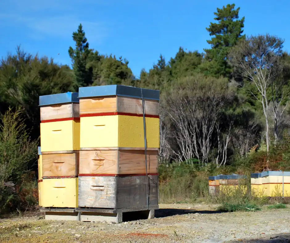 Stacked wooden beehives.